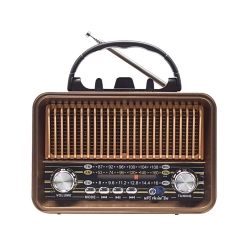 Radio FM TRACER RTX200